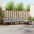 Set de canapele de exterior 5 pcs Gri natural și deschis GartenMobel Dekor