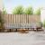 Set de canapele de exterior 7 pcs Gri natural și deschis GartenMobel Dekor