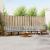 Set de canapele de exterior 7 pcs Gri natural și deschis GartenMobel Dekor