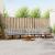 Set de canapele de exterior 7 pcs Gri natural și deschis GartenMobel Dekor