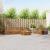 Set de canapele de exterior 7 pcs natural GartenMobel Dekor