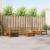 Set de canapele de exterior 8 pcs natural GartenMobel Dekor