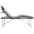 Masă de masaj cu 4 zone, cadru aluminiu, antracit, 186 x 68 cm GartenMobel Dekor