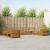 Seturi de canapele 9 pcs natural Lemn Solid de Acacia GartenMobel Dekor