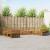 Seturi de canapele 9 pcs natural Lemn Solid de Acacia GartenMobel Dekor