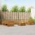 Seturi de canapele 10 pcs natural Lemn Solid de Acacia GartenMobel Dekor