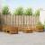 Seturi de canapele 10 pcs natural Lemn Solid de Acacia GartenMobel Dekor
