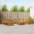 Seturi de canapele 10 pcs natural Lemn Solid de Acacia GartenMobel Dekor