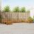 Seturi de canapele 10 pcs natural Lemn Solid de Acacia GartenMobel Dekor