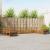 Seturi de canapele 10 pcs natural Lemn Solid de Acacia GartenMobel Dekor