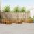 Seturi de canapele 11 pcs natural Lemn Solid de Acacia GartenMobel Dekor