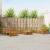 Seturi de canapele 11 pcs natural Lemn Solid de Acacia GartenMobel Dekor