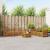 Seturi de canapele 8 pcs natural Lemn Solid de Acacia GartenMobel Dekor