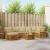 Seturi de canapele 8 pcs Natural și Bej Lemn Solid de Acacia GartenMobel Dekor