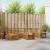 Seturi de canapele 8 pcs natural Lemn Solid de Acacia GartenMobel Dekor