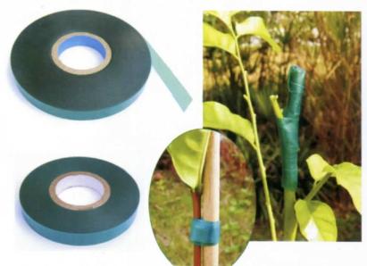 Bandă GreenGarden Multi 35 pentru legarea plantelor, 11 mm, 35 m