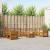 Seturi de canapele natural Lemn Solid de Acacia GartenMobel Dekor