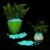 Pietricele fosforescente turcoaz 500 g pentru decor interior/exterior, glow in the dark