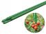 Arac de susținere pentru plante 120 cm, Ø16 mm, oțel plastifiat verde