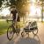 Remorcă pentru bicicletă copii 2 locuri, funcție jogger, 40 kg, Procart