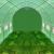 Solar tip tunel pentru gradina 6x3x2 m, folie PE 140 g/mp UV4, 8 ferestre