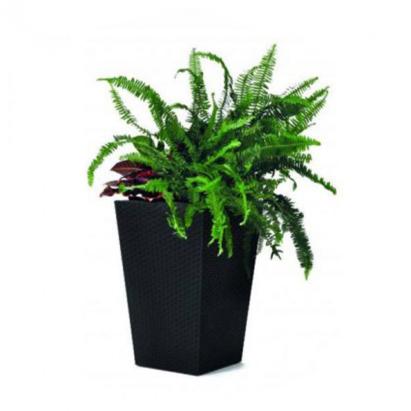 Ghiveci ratan Curver S grafit, suport decorativ pentru flori, 23,6 L