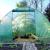 Sera tunel din folie Mirpol Solar 3x4,5x2 m, verde, cu cadru galvanizat