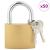 U Lock cu Chei 50 pcs Alamă Fier GartenMobel Dekor