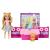 BARBIE FAMILY AND FRIENDS SET CLUBUL LUI CHELSEA PETRECERE CU CEAI SURPRIZA SuperHeroes ToysZone