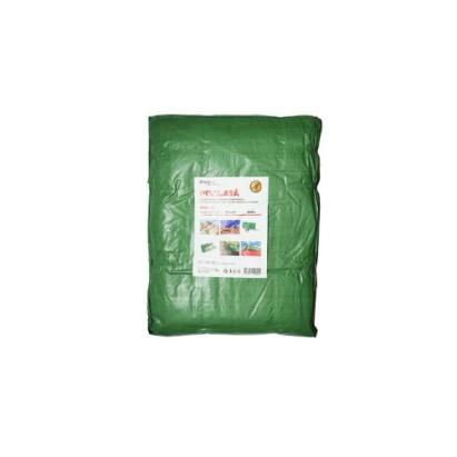 Prelată impermeabilă verde 6x8 m, 120 g/m², cu ochiuri de prindere – Breckner