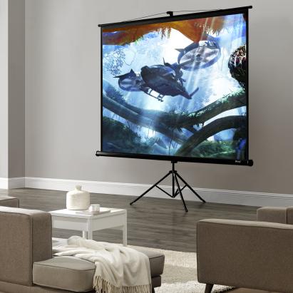 Ecran de proiecție cu stativ 113 inch, reglabil, pentru home cinema