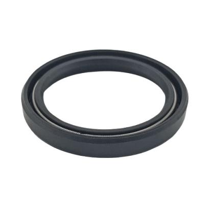 REMS Semering 060310