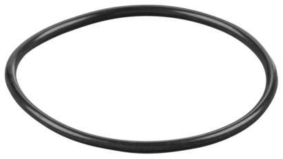 REMS O-ring 060107