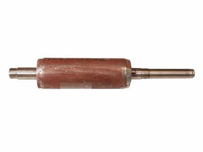 Rotor pentru pompa submersibila 125SCM406, 1100W, compatibil ProGarden