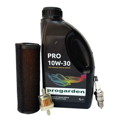 Pachet revizie motor benzina Loncin LC168F-2H