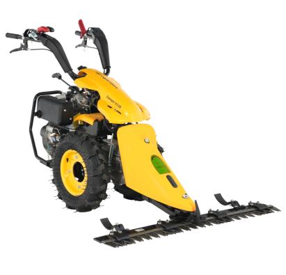 Motocositoare multifuncțională Progarden Campo U12E, diesel, 12CP, 120 cm