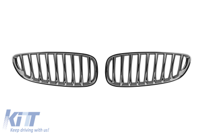 Răcitorii cromati potriviți pentru BMW Z4 Seria E89 2009-2016 Performance AutoTuning