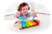 Xilofon din lemn Hape multicolor pentru copii 1+ ani, 5 note