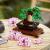 LEGO BONSAI 10281