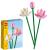 LEGO Flowers Flori de Lotus 40647, set decorativ cu 2 flori si boboc