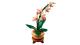 LEGO BOTANICALS MINI ORHIDEE 10343