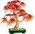 LEGO BOTANICALS BONSAI DE ARTAR JAPONEZ ROSU 10348