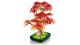 LEGO BOTANICALS BONSAI DE ARTAR JAPONEZ ROSU 10348
