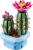 LEGO Botanicals Cactus Înflorit 11509, set decorativ cu 482 piese