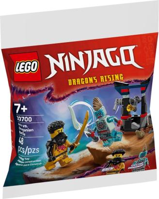 LEGO NINJAGO Batalia dintre Arin si Dragonian 30700, 48 piese