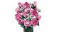 LEGO Botanicals Buchet de trandafiri roz 10374, set decor floral 789 piese