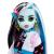 MONSTER HIGH PAPUSA FRANKIE STEIN CU ANIMALUT SI ACCESORII