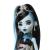 Papusa Monster High Frankie Stein aniversare cu accesorii tematice