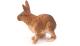 Figurina iepure maro Papo, jucarie educativa pictata manual