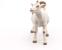 Figurina Capra Alba Papo, animal de ferma realist, pictat manual